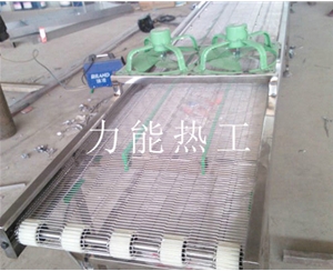 常州乙字网输送机