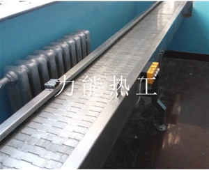 常州链板输送机