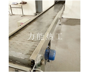 常州链板输送机